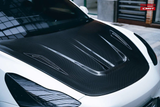 CMST TUNING CARBON FIBER HOOD VER.1 FOR TESLA MODEL 3